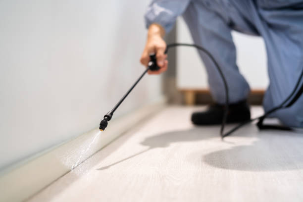 Certified termite inspector examining foundation in Elm Creek