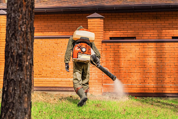 Bed Bug Clearance Verification and Documentation in Elm Creek
